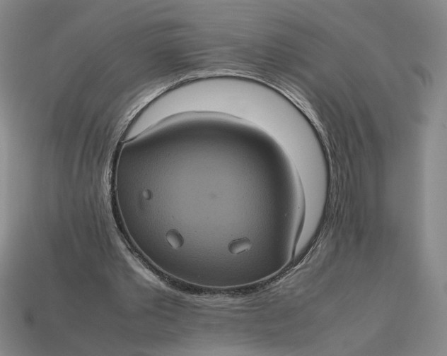 X0000113240389200910011330