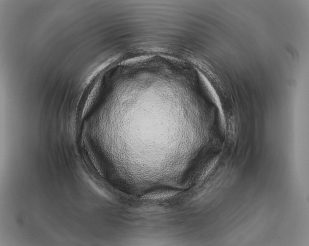 X0000113240390200910011330