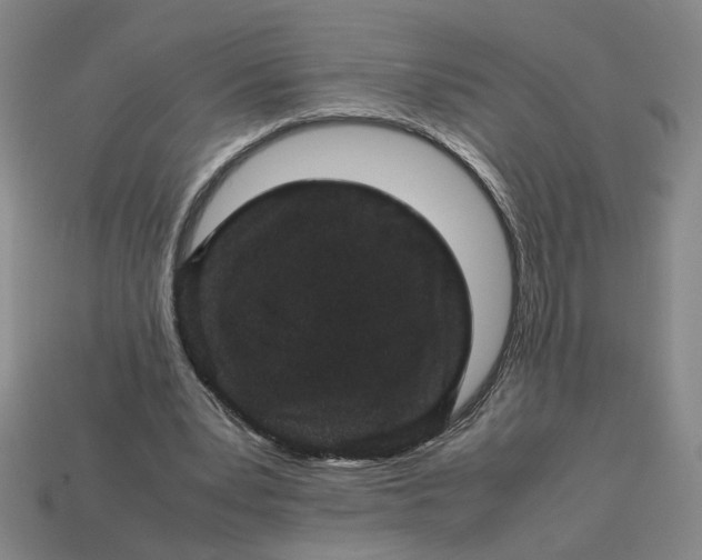 X0000113240391200910011330