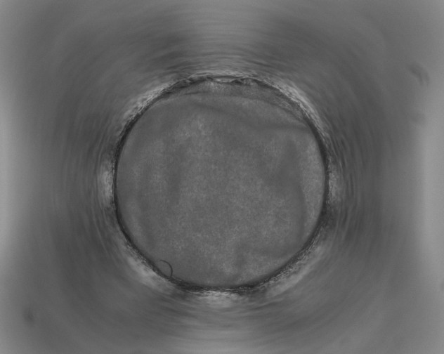 X0000113240393200910011330