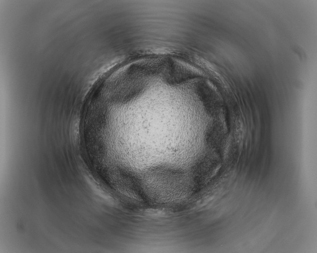 X0000113240394200910011330