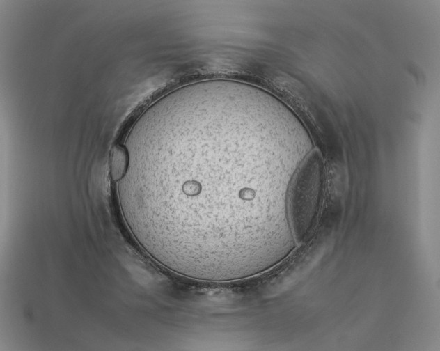 X0000113240395200910011330