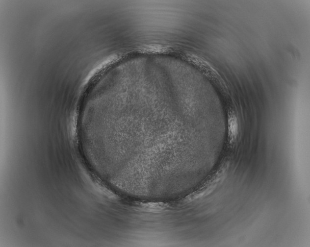 X0000113240396200910011330