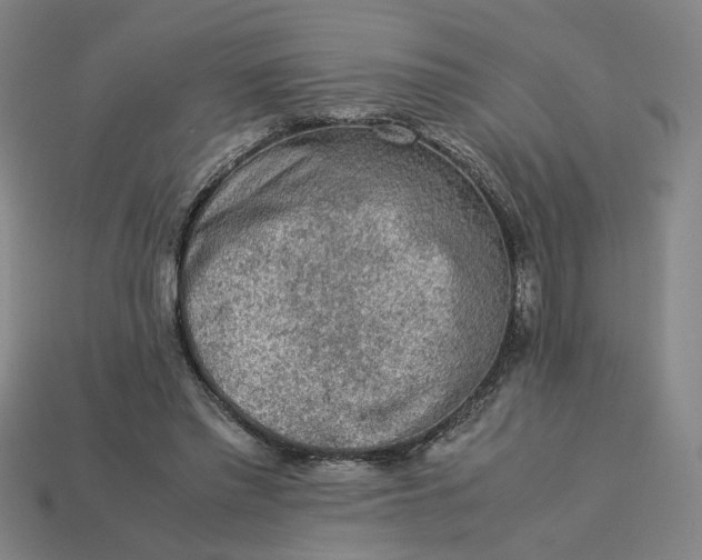 X0000113240397200910011330