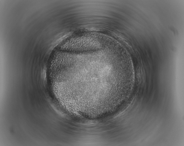 X0000113240398200910011330