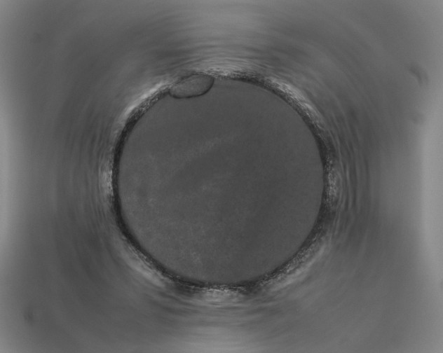 X0000113240399200910011330