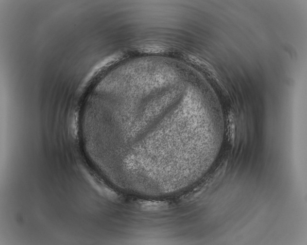 X0000113240400200910011330