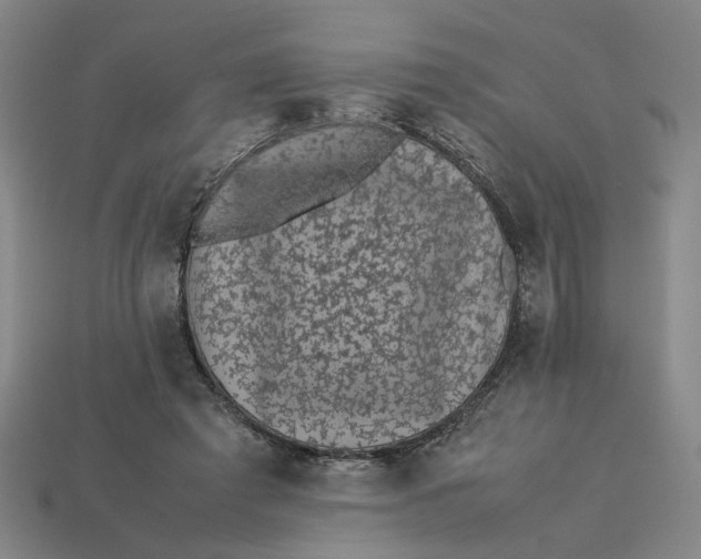 X0000113240401200910011330