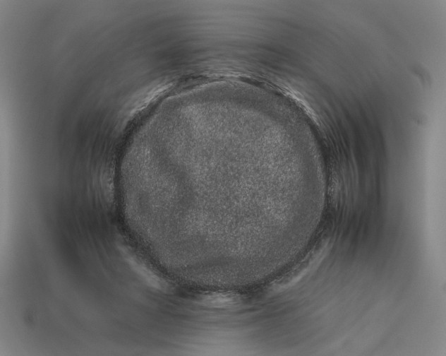 X0000113240402200910011330