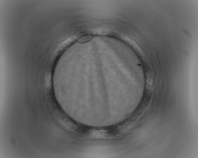 X0000113240403200910011330