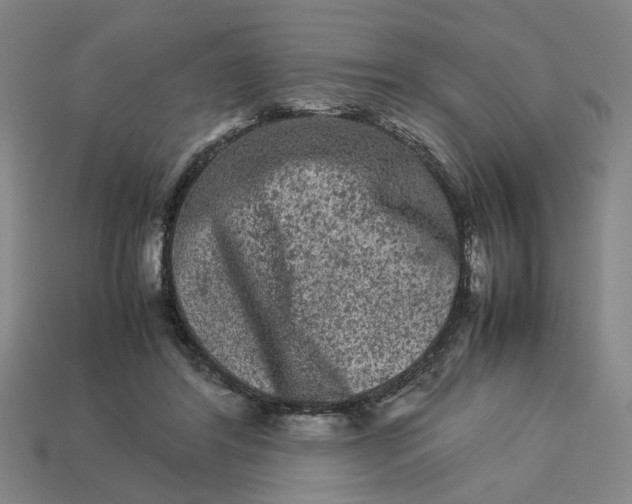 X0000113240404200910011330