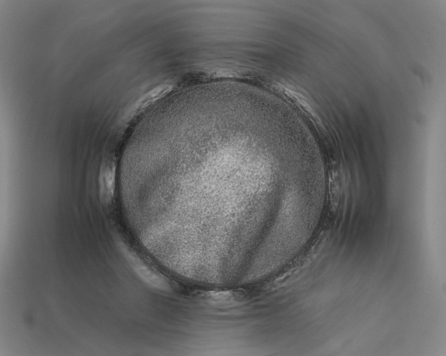 X0000113240406200910011330