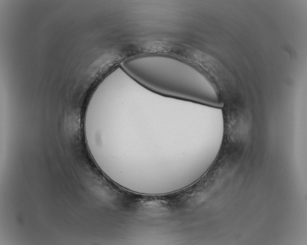 X0000113240407200910011330