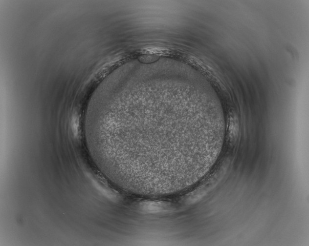 X0000113240408200910011330