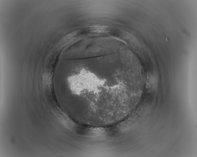 X0000113240409200910011330