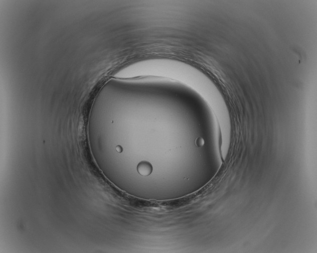 X0000113240411200910011330