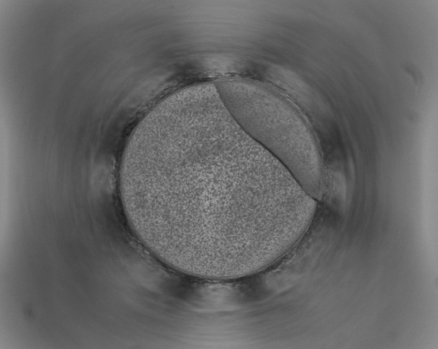 X0000113240413200910011330