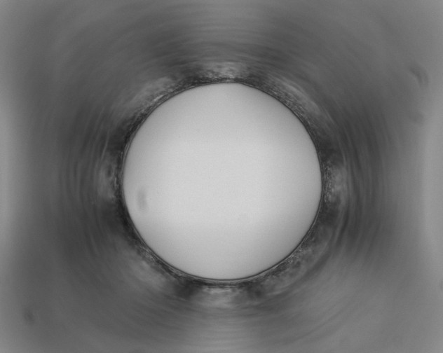 X0000113240414200910011330