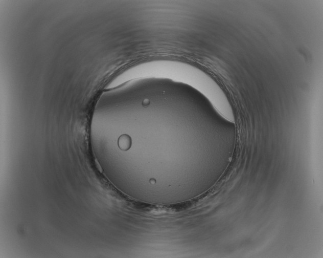 X0000113240415200910011330