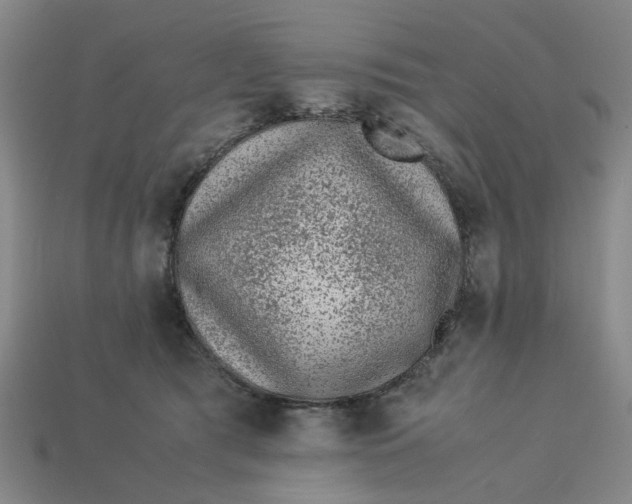 X0000113240417200910011330