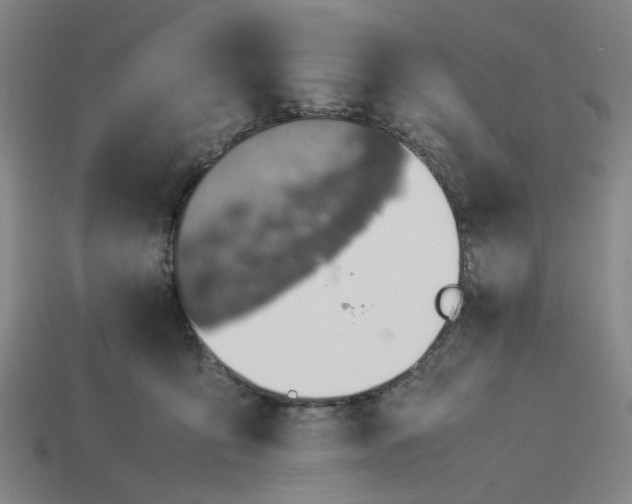 X0000113240419200910011330