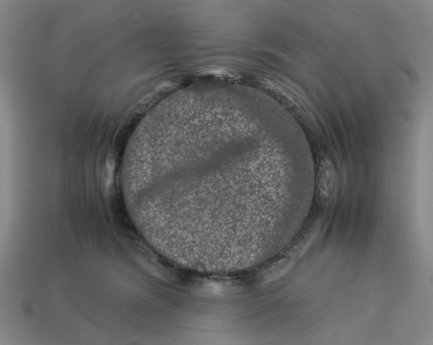 X0000113240420200910011330