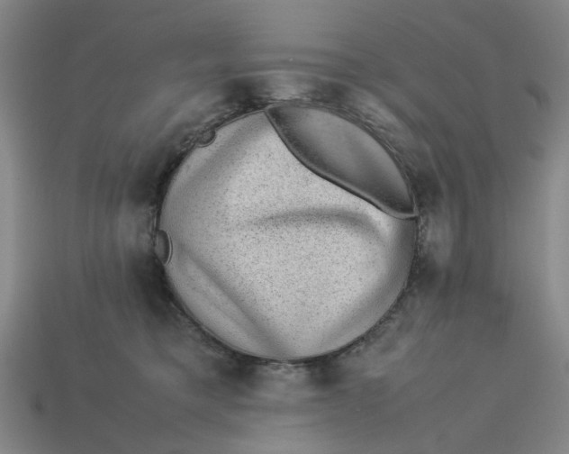 X0000113240421200910011330