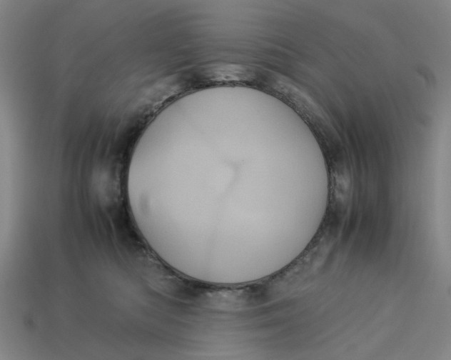 X0000113240422200910011330