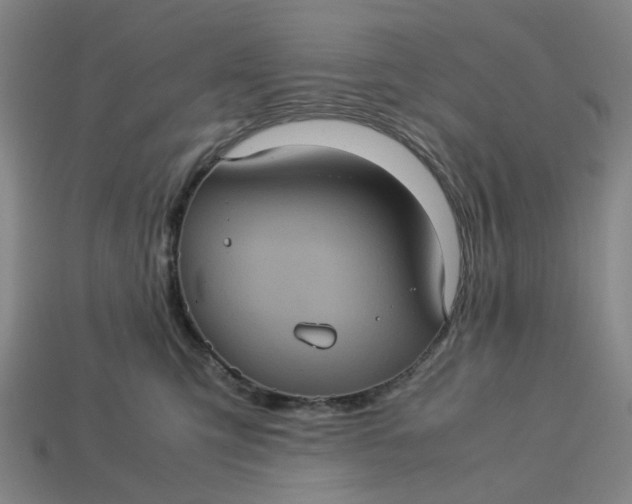 X0000113240423200910011330