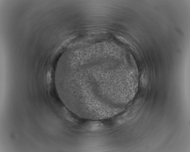 X0000113240424200910011330