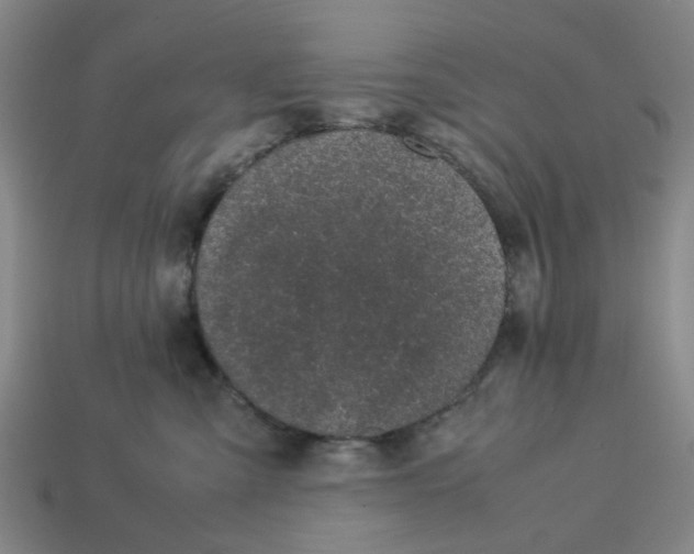 X0000113240427200910011330