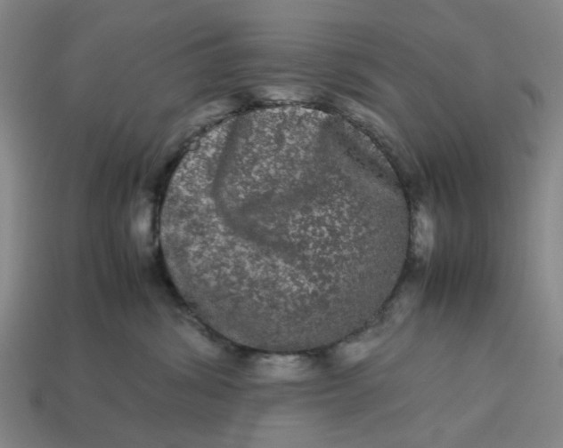 X0000113240428200910011330