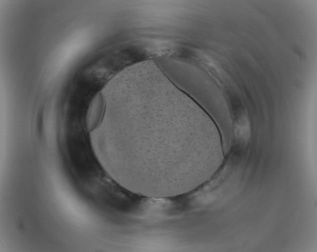 X0000113240429200910011330