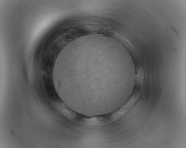 X0000113240430200910011329