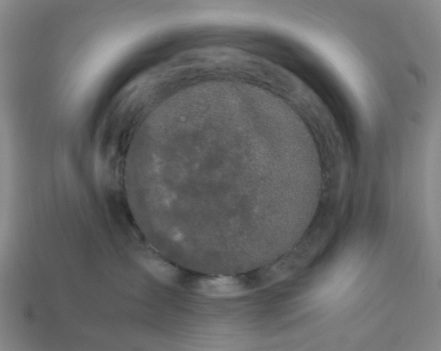 X0000113240431200910011329