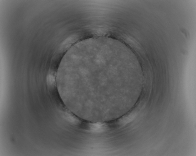 X0000113240432200910011329