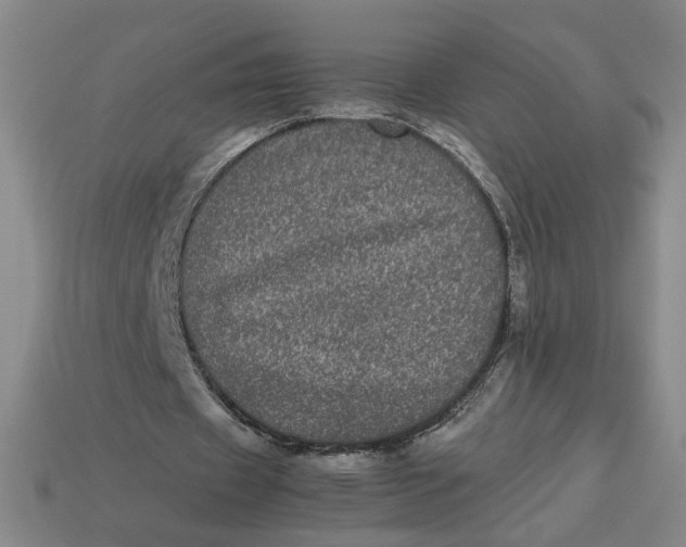 X0000113240433200910011329