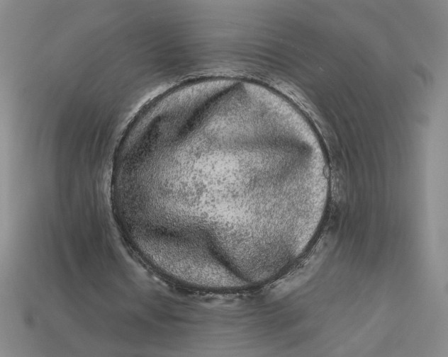 X0000113240434200910011329