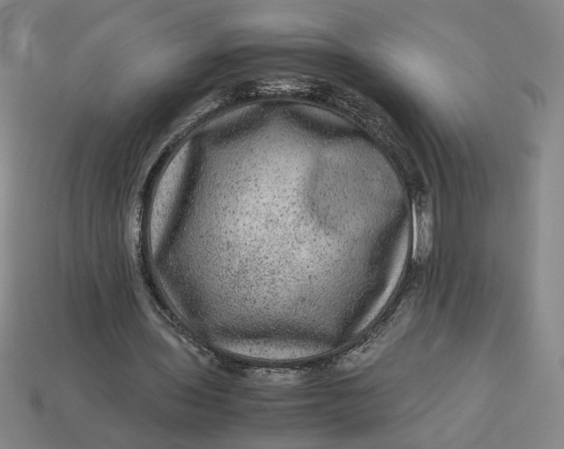 X0000113240435200910011329