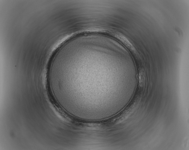 X0000113240436200910011329