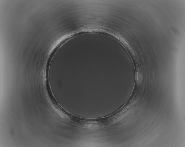 X0000113240438200910011329