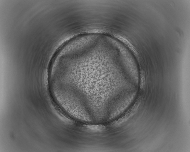 X0000113240439200910011329