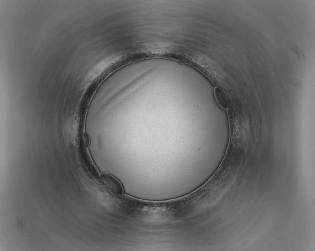 X0000113240440200910011329