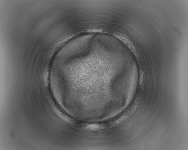 X0000113240441200910011329