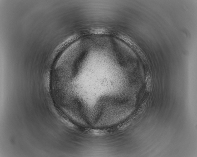 X0000113240442200910011329