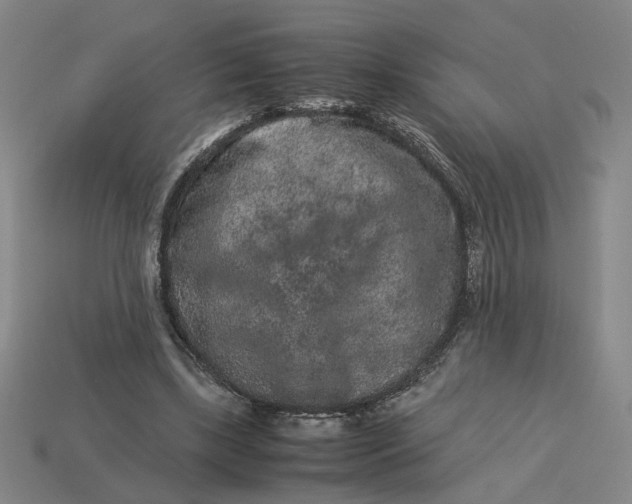 X0000113240443200910011329