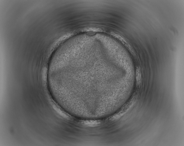 X0000113240445200910011329