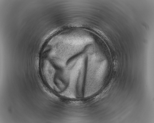 X0000113240446200910011329