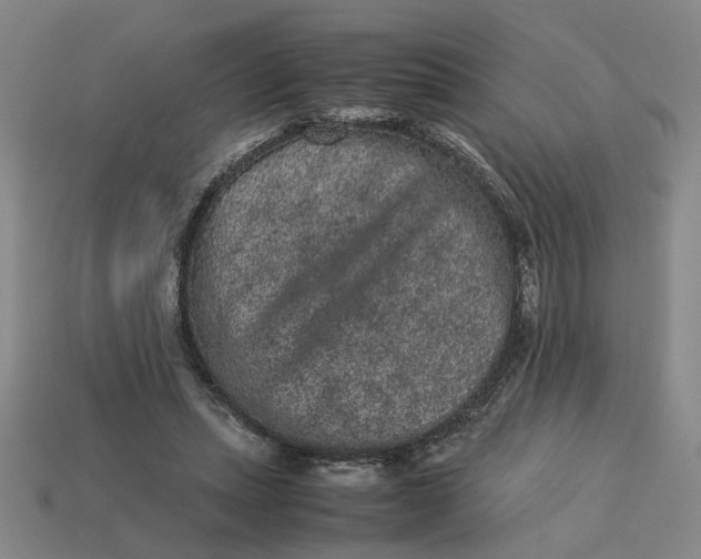 X0000113240447200910011329