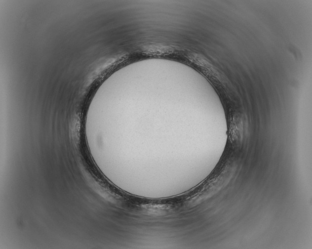 X0000113240448200910011329